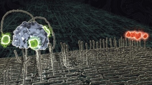 Molecular robot created from DNA