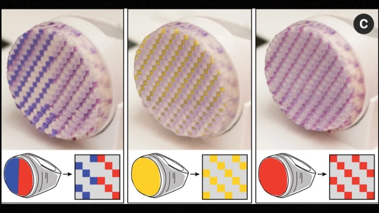 A ColorFab ring is made to appear blue/red, yellow, and red