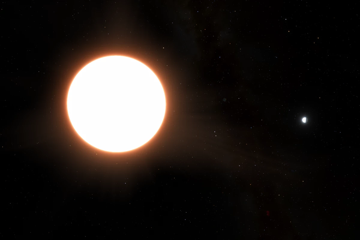 An artist's impression of extremely shiny exoplanet LTT9779 b (right) orbiting its host star