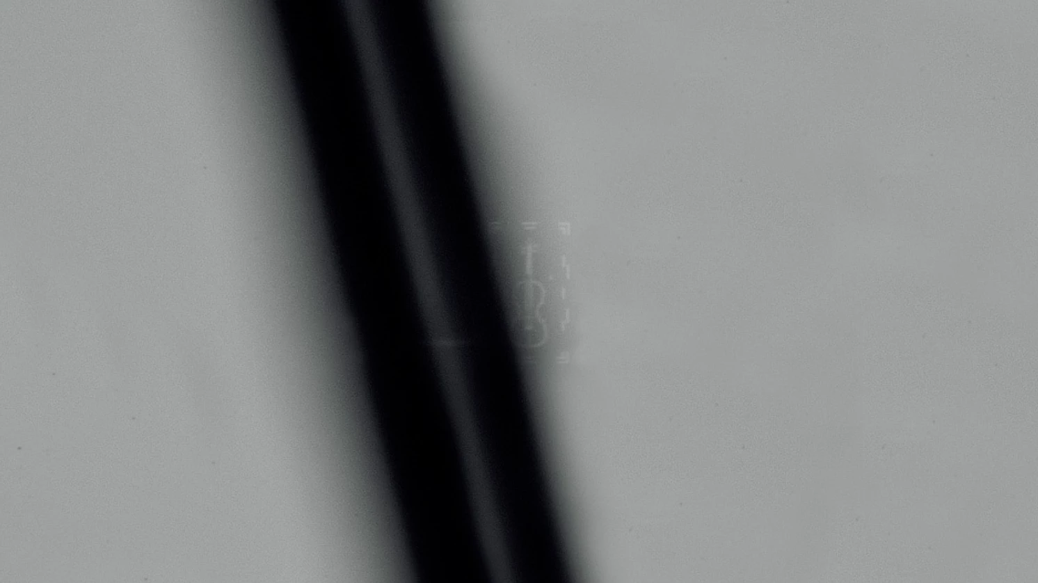 Further zooming of the hair puts the violin in clearer context. These images were captured using a Keyence VHX-7000N Digital Microscope