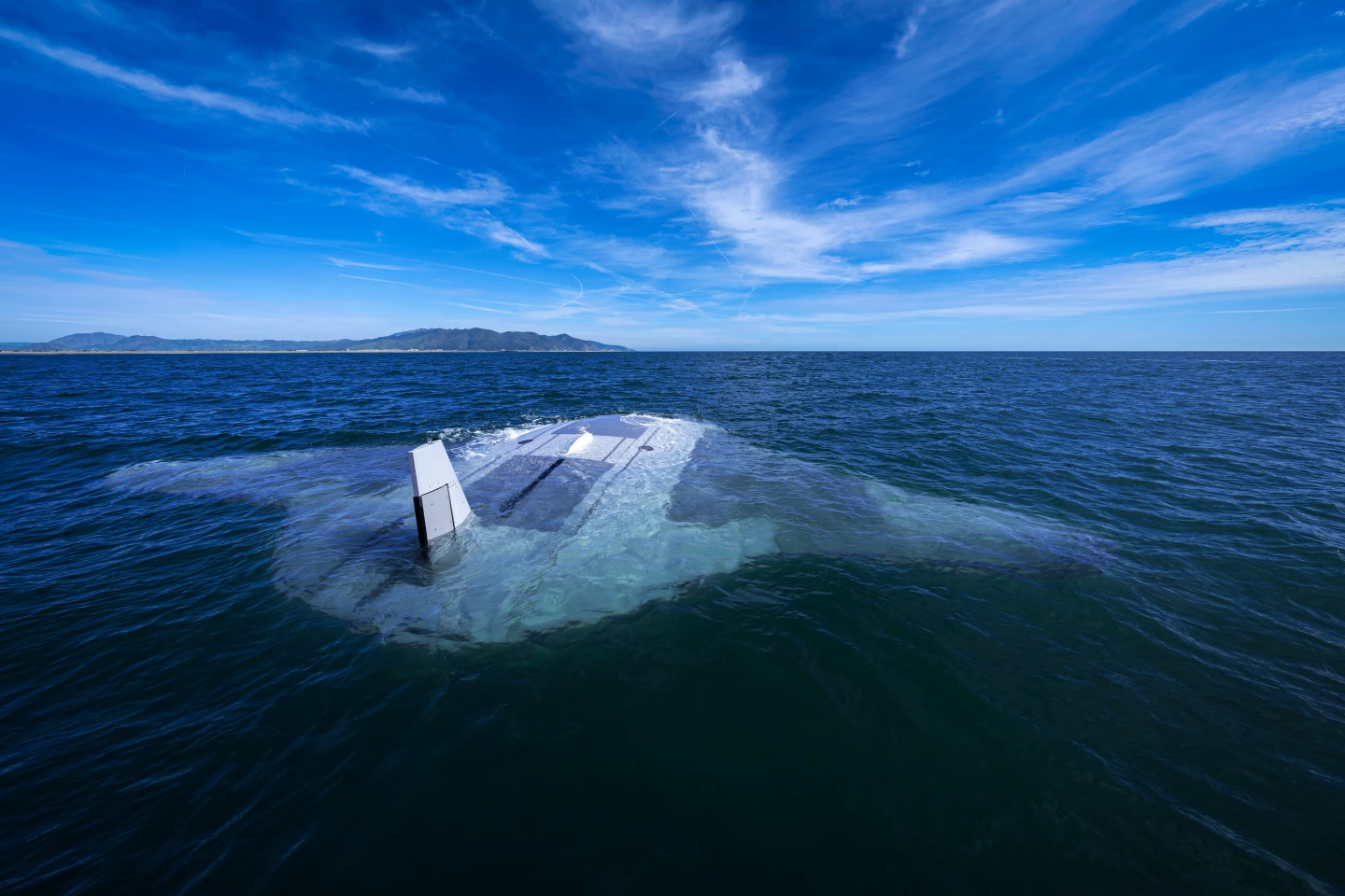 The Manta Ray on the surface