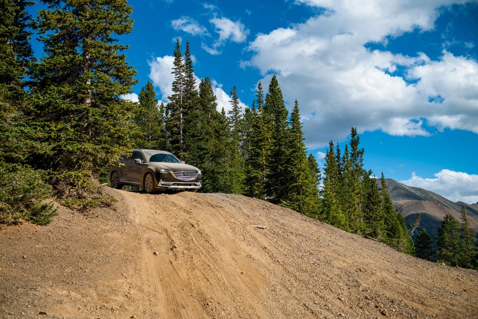 Also a bit of a surprise was the prowess of the Mazda CX-9, which truly shines on pavement, but does well for itself off of it