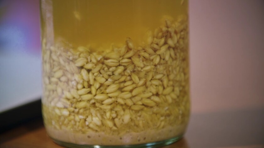 The ancient beer, brewed from wheat, barley or millet, doesn't filter out the grains and reportedly tastes sweeter than modern beers