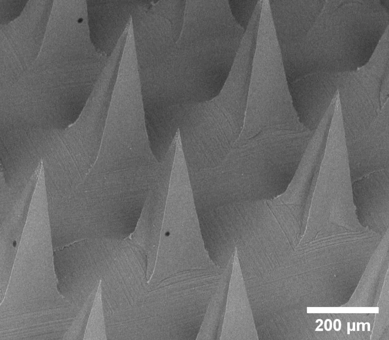 Each microneedle is just 0.2 mm wide at the base