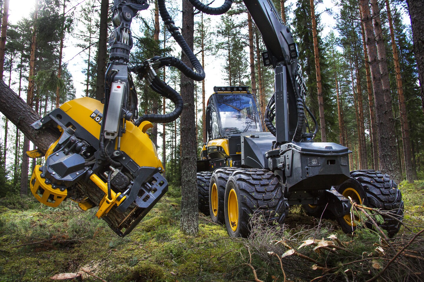 Ponsse timber harvesters The ruthlessly efficient modern lumberjack