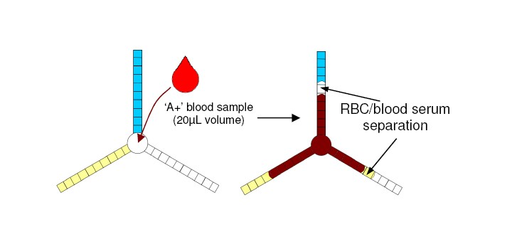 Example of test results for the A blood group