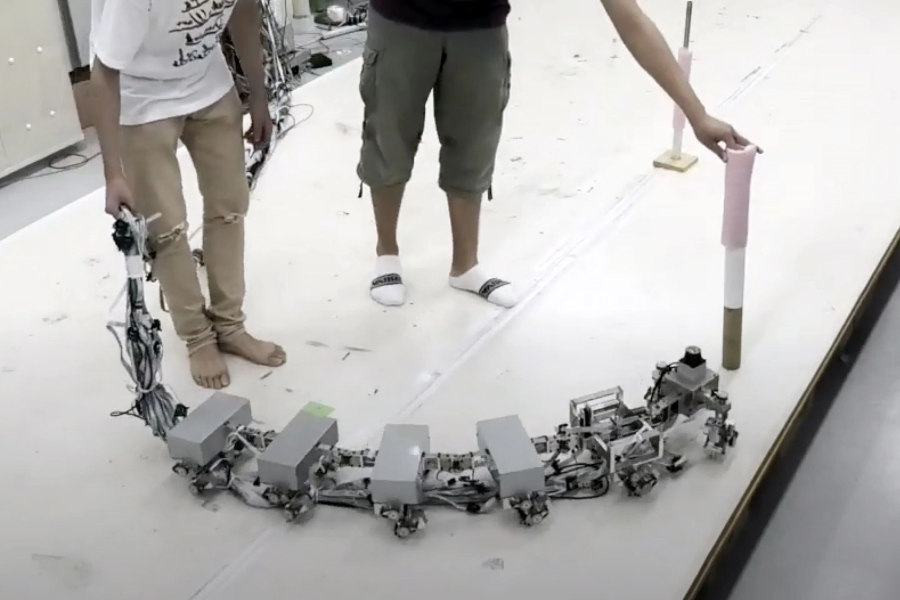 Researchers have taken inspiration from nature to create a robot that moves like a centipede