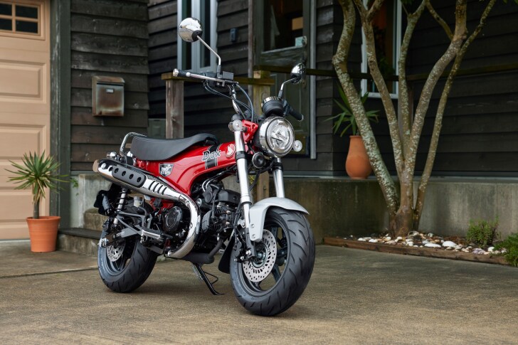 Honda revives the Dax 41 years after the last time it was marketed in Europe and 20 years after the last Japanese model went out of production