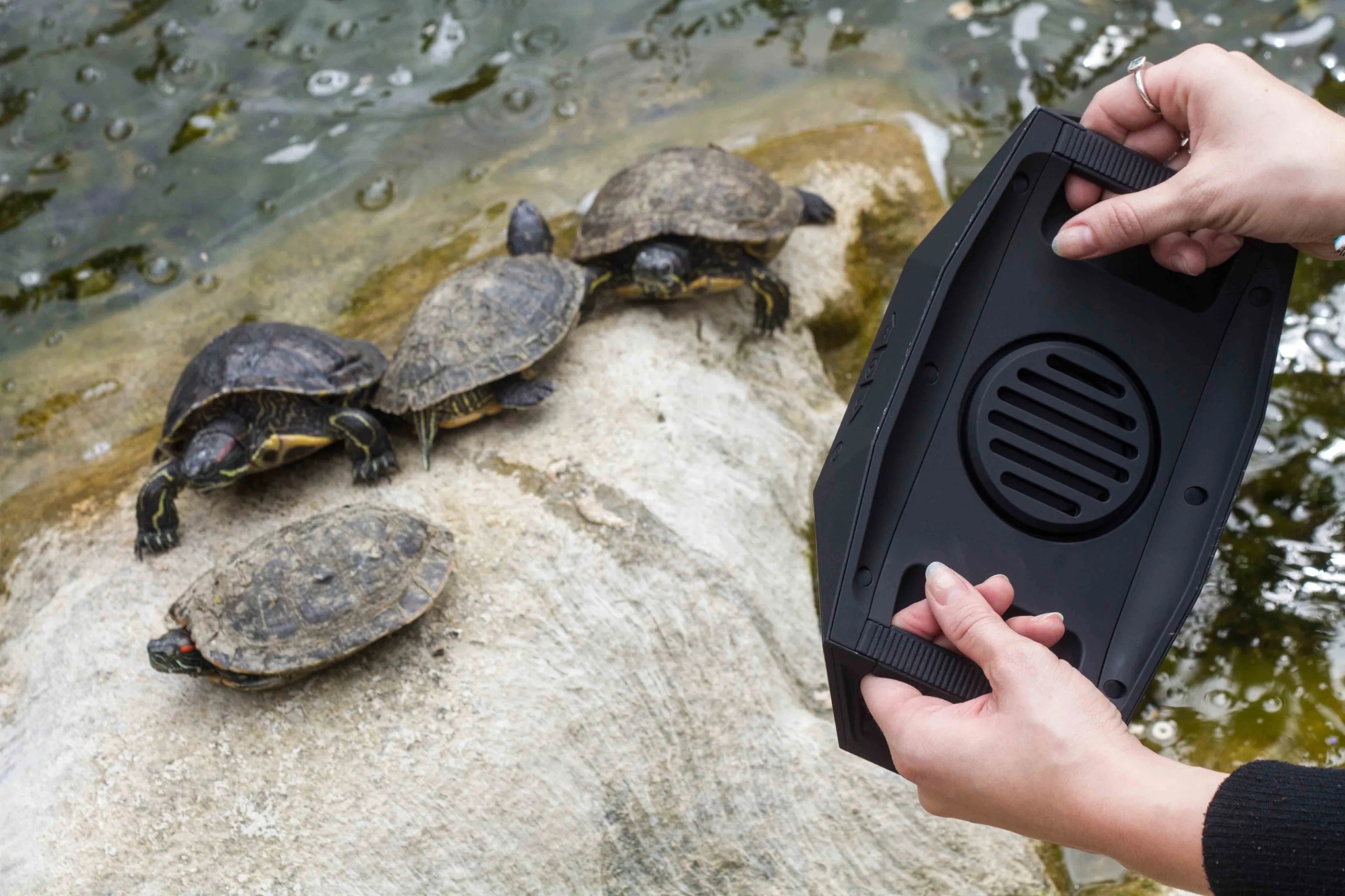 The two handles on the back can be used to carry and strap the BIG Turtle Shell