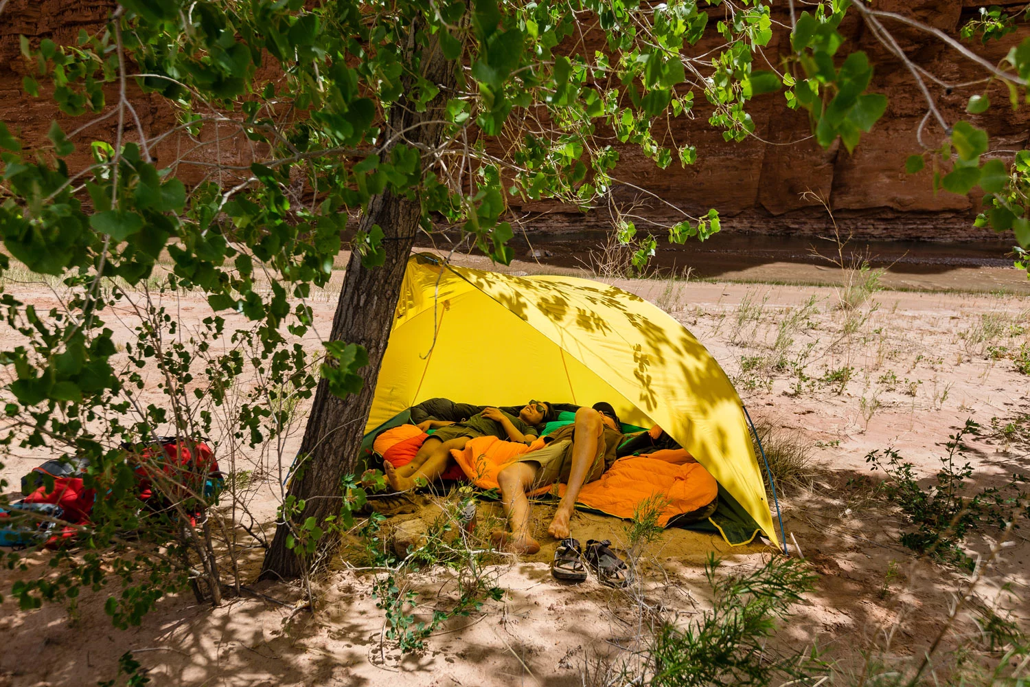 The alcove pitches with help from a tree or two trekking poles