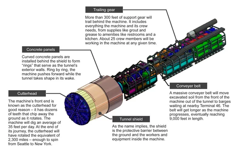 Diagram of Bertha