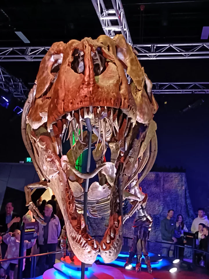 Tyrannosaurus rex probably didn't roar like it does in the movies