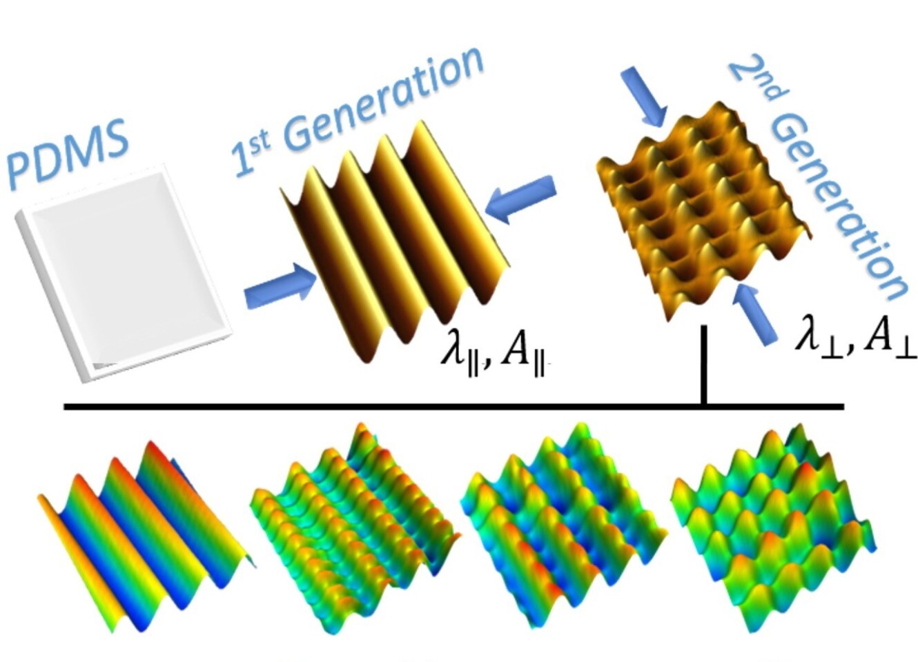 The researchers create the different textures by stretching and compressing thin film sheets of PDMS in different ways