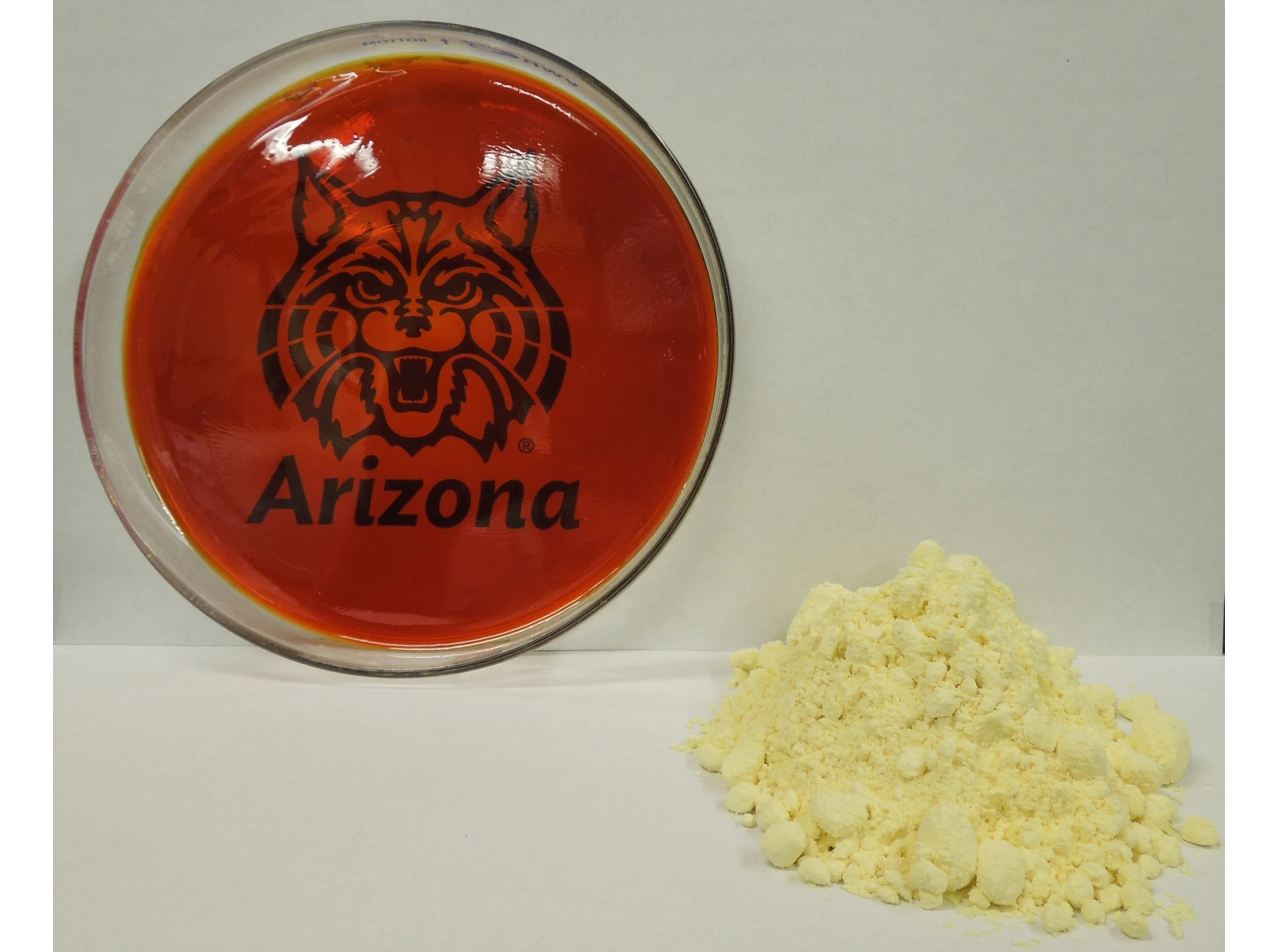 A petri dish of the sulfur-based polymer next to a (very small) stockpile of sulfur powder (Photo: Jared Griebel/ Pyun lab, University of Arizona department of chemistry and biochemistry)