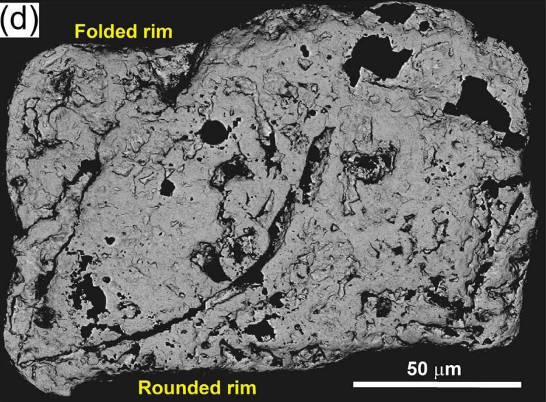 Electron microscope image of Hampden beach gold