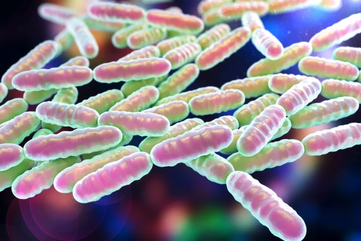 Two new studies on probiotic bacteria, found in everything from chocolate and yoghurt to health food store supplements, may not be beneficial for everyone