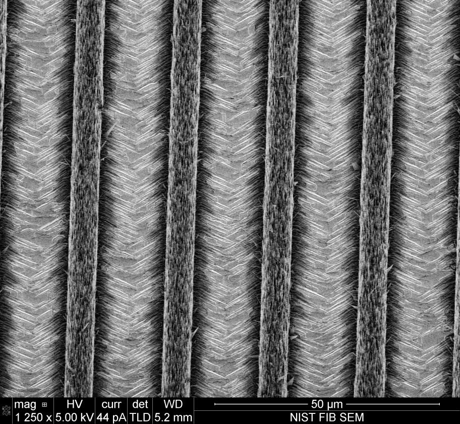 The transmission electron microscope image shows four rows of nanowires and their corresponding nanowalls, nicknamed "nano LEDs" because they emit light when electrically charged