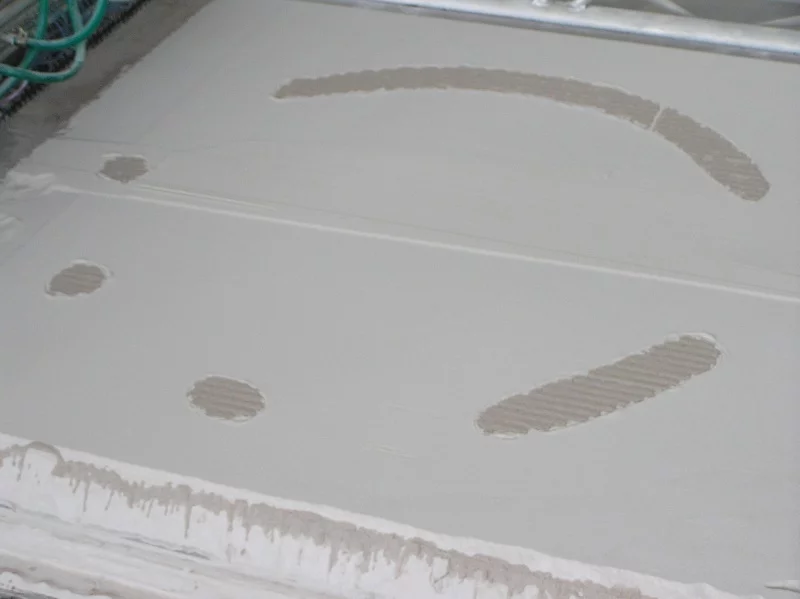 Radiolaria - the first layer printed