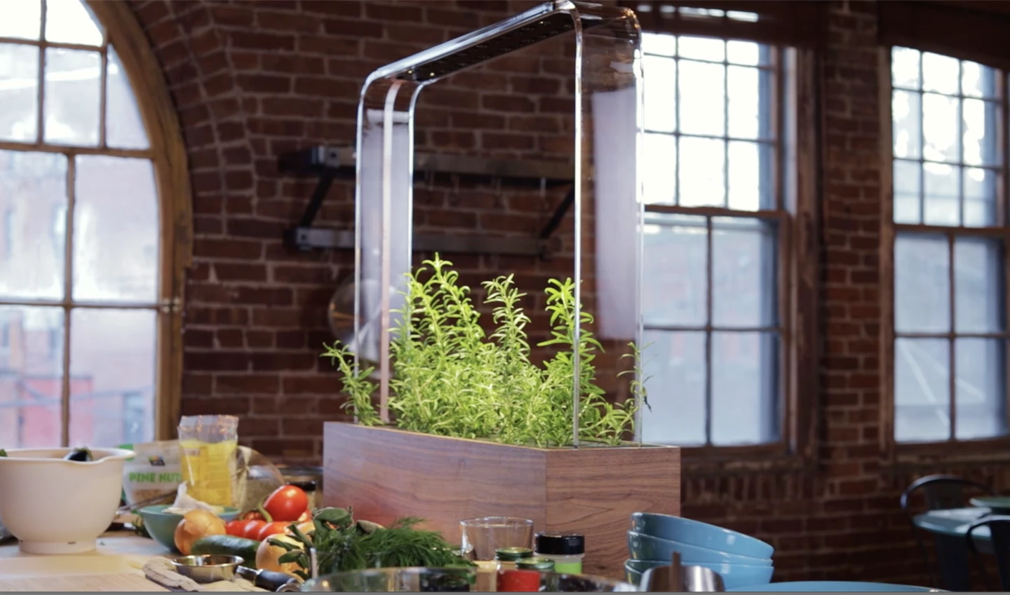 The Herb Garden monitors the surrounding environment to maintain ideal growing conditions