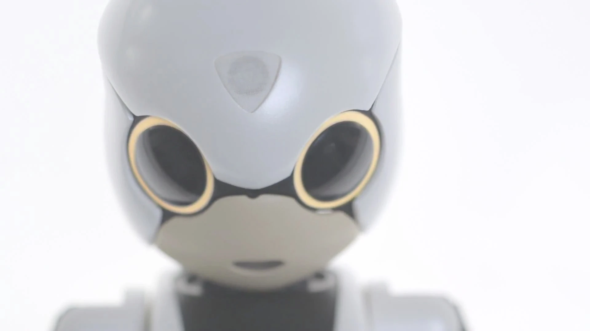 Kibo's eyes light up as it is turned on for the first time
