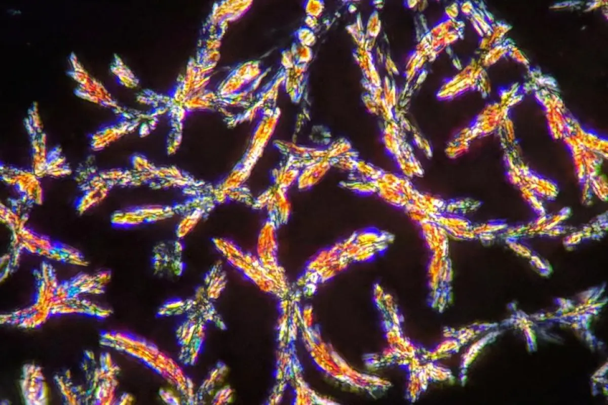 DMT (imaged in crystal form above) was the psychedelic used in one of the first animal studies to investigate the effects of microdosing