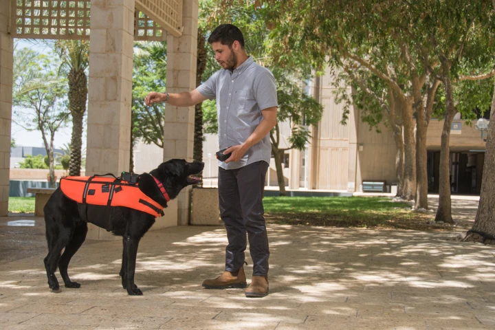 The vest could be used in noisy or otherwise chaotic environments, where trained dogs can't see or hear their handlers