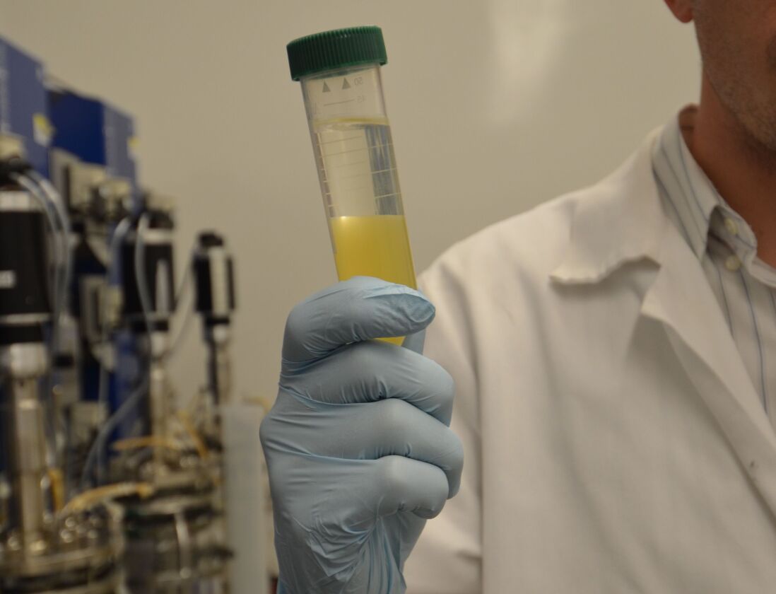 The clear liquid at the top of the vial extracts the acetone and butanol, separating the chemicals from the fermenting brew while protecting the bacteria, which are killed by high concentrations of the chemicals (Photo: Robert Sanders, UC Berkeley)