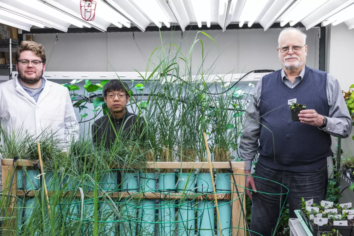 The research team, from left to right: Ryan Routsong, Long Zhang and Stuart Strand