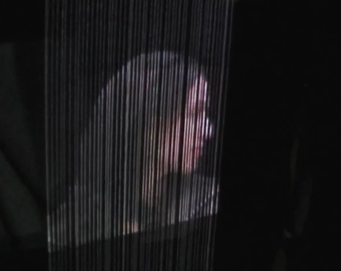 A video image displayed on the AquaLux 3D