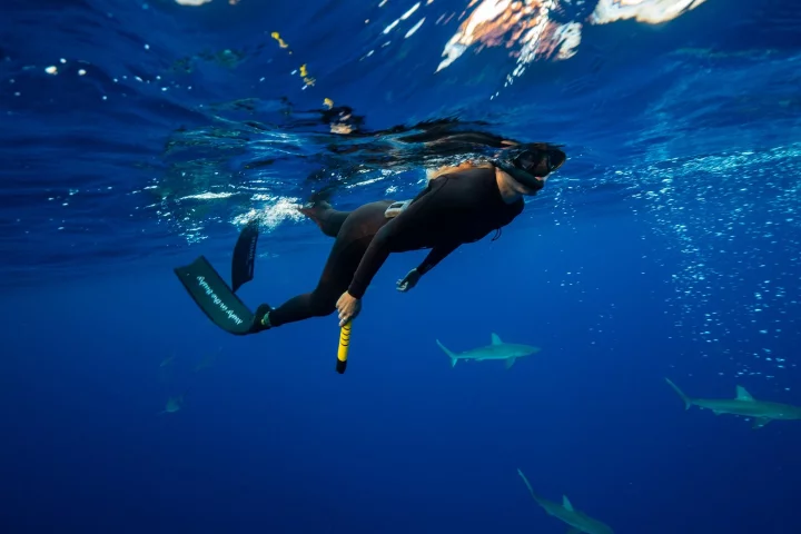 The eSpear can be carried while swimming, or put in an optional thigh holster