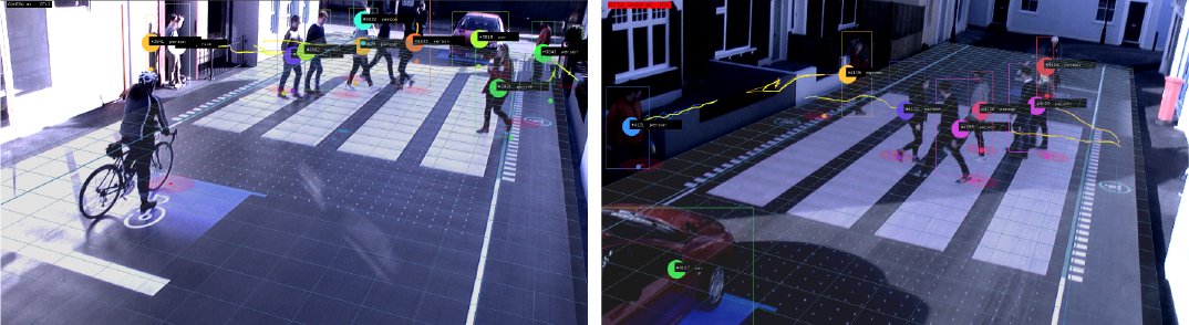 Starling Crossing: Object tracking and recognition