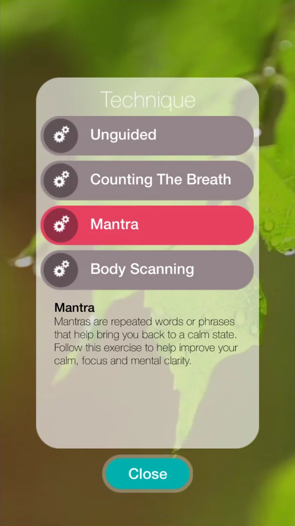 A list of the techniques available for the Clarity app