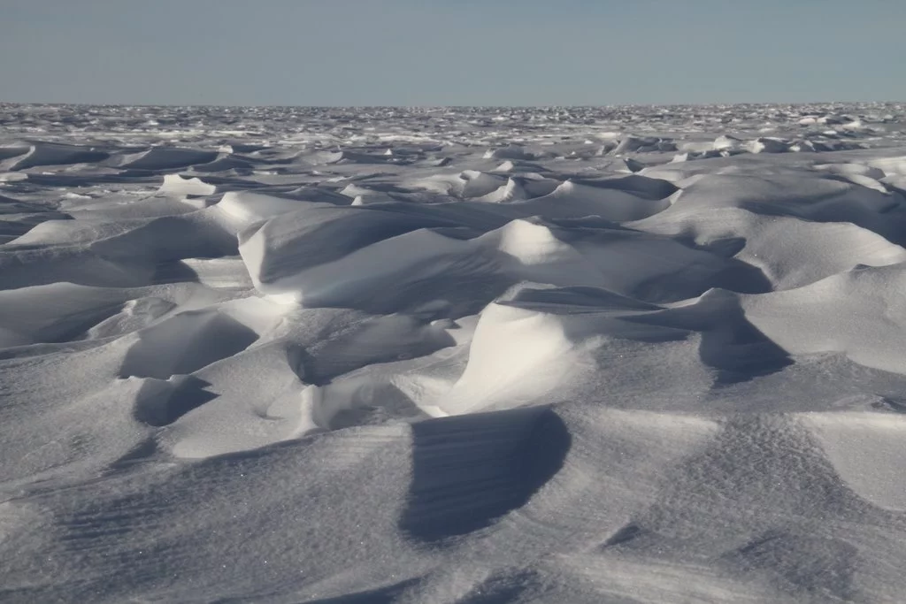 The transantarctic expedition covered some 4,000 kilometers - aross the entire continent of Antarctica - and back - using wheeled vehicles