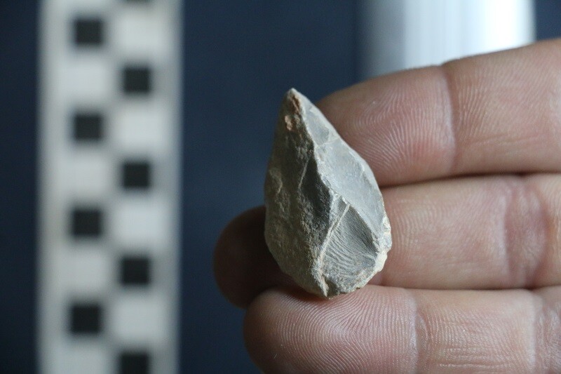 A pointed stone tool, found in Chiquihuite Cave in Mexico, which was dated to between 25,000 and 30,000 years ago