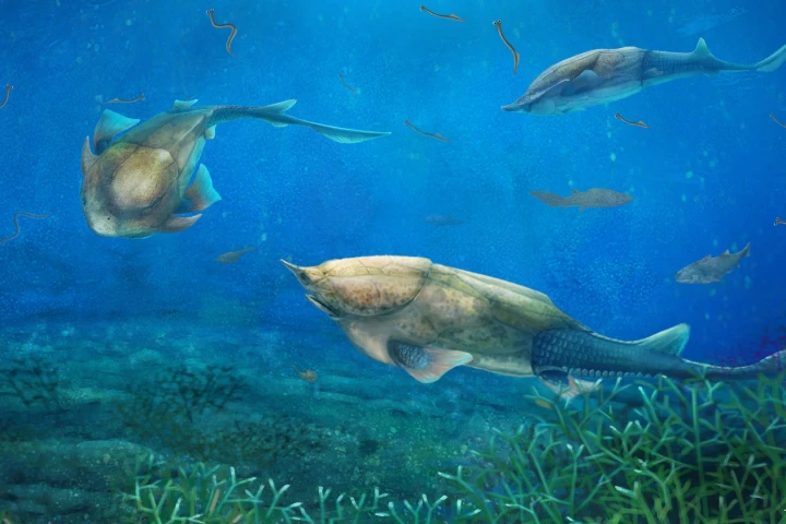 The Qilinyu lived 423 millions years ago during the Silurian era. What it lacked in looks it made up for with its gift to science – its jaw