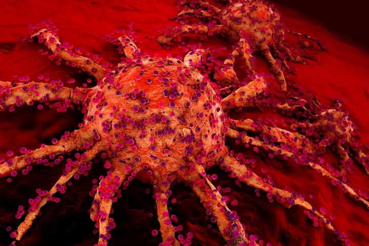 New research has found that antioxidants can stimulate the growth of blood vessels in cancer tumors