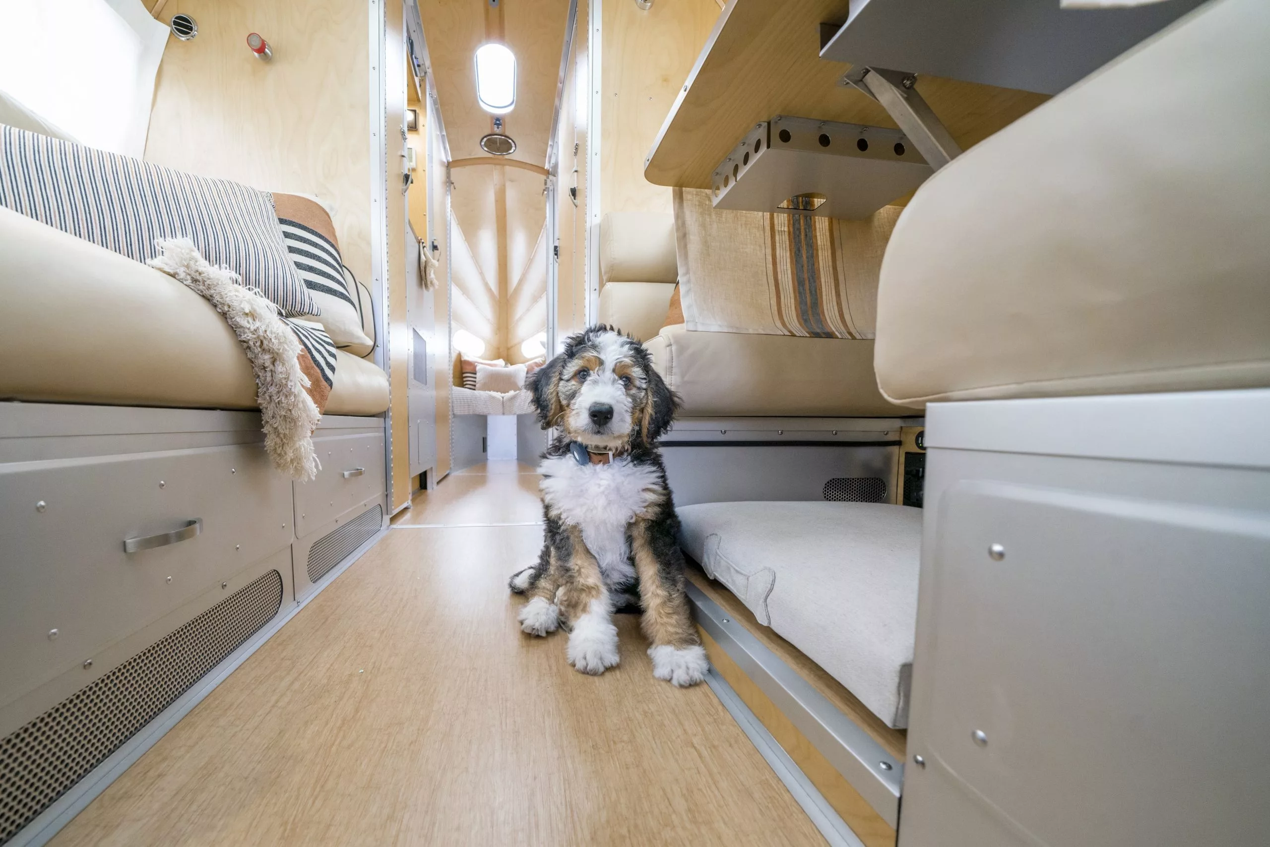 A furry friend enjoys the dining lounge that doubles as a second sleeping room
