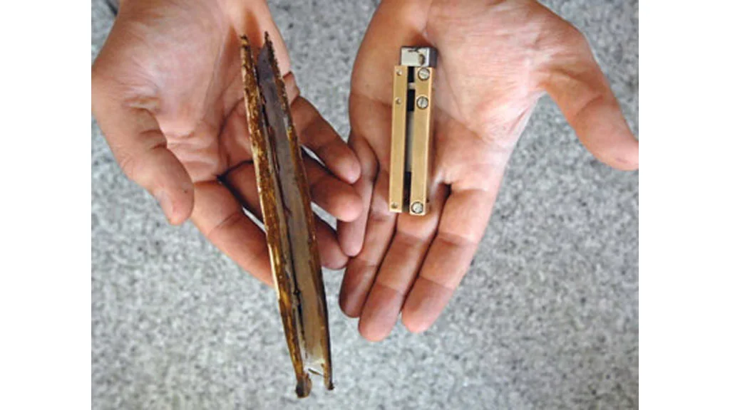 The RoboClam (right) and the razor clam which provided the inspiration for its design
