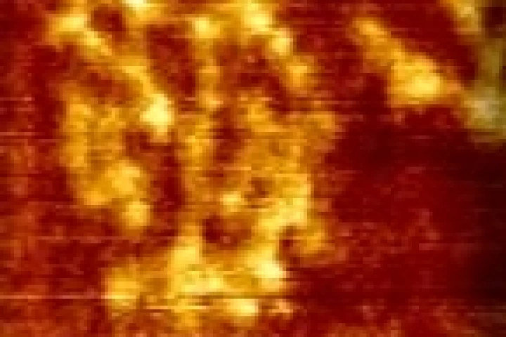 DNA nanobarcodesresearch