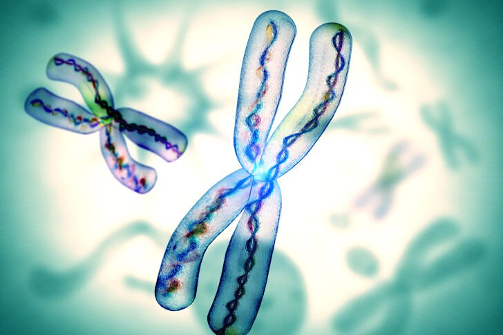 A new type of CRISPR gene-editing tool allows mutations in one chromosome to be corrected by copying the healthy gene across from the other