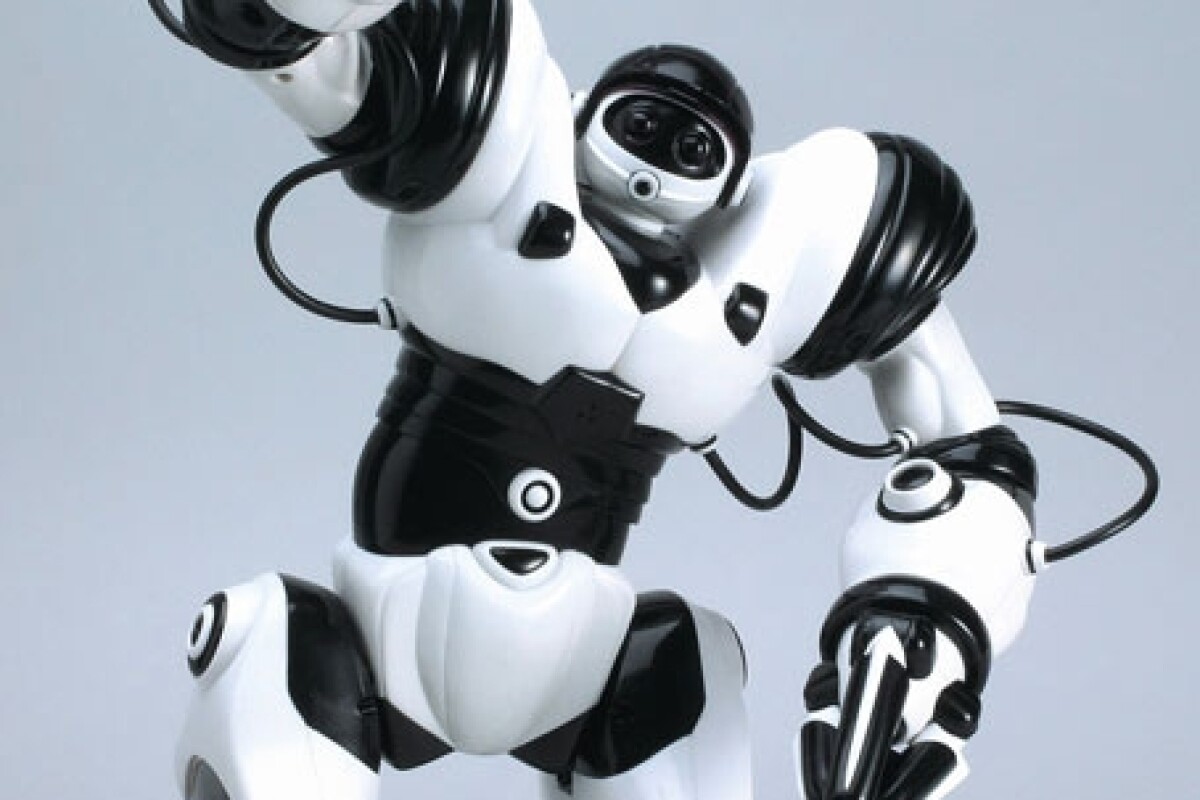 Robosapien Toy Brings Humanoids Into