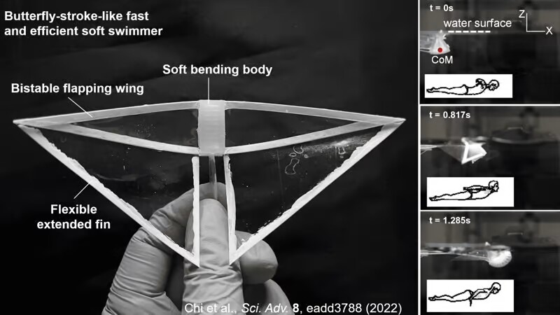 The original robot, which mimicked both the manta ray and the human butterfly stroke