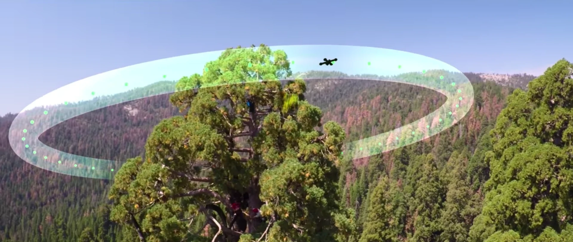 A single drone flight can provide the scientists with information that they would never get with the naked eye