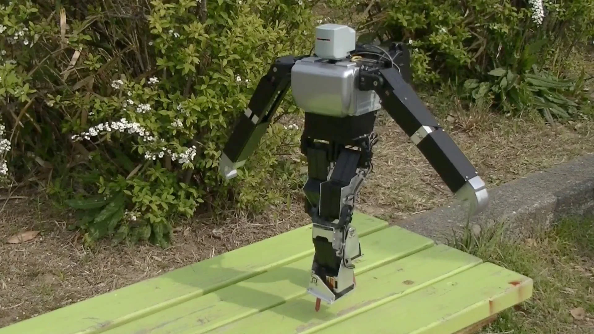 Dr. Guero's hobby robot kit balances on nail-like stilts on a park bench