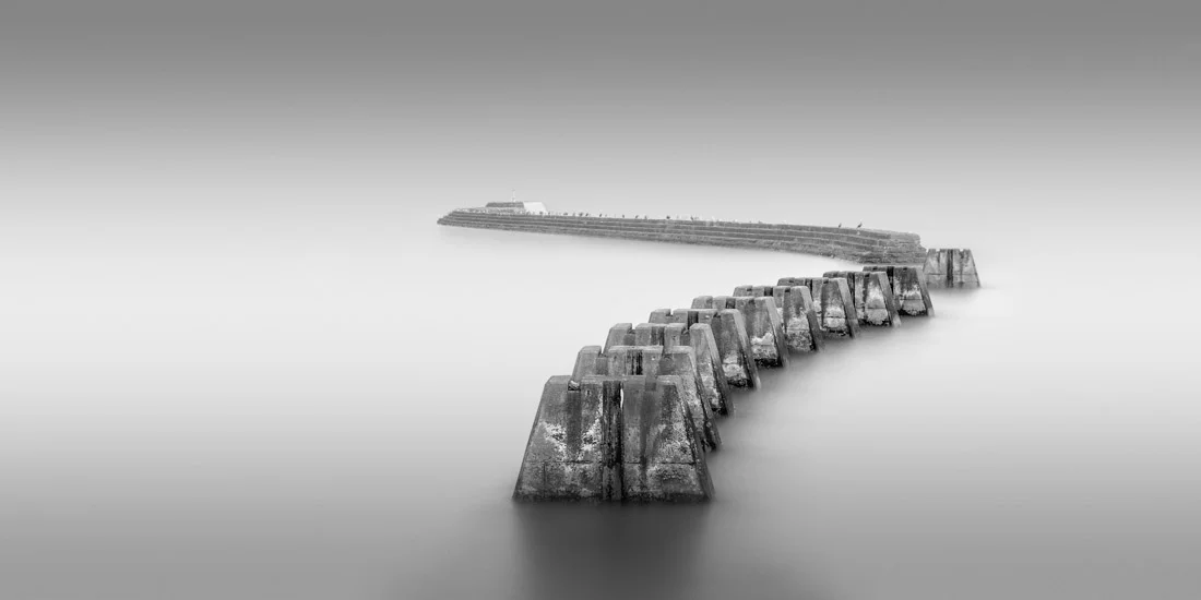 Darren Moore was the major winner in the Amateur photography category. This photograph is entitled "Spine" and was taken in Scotland