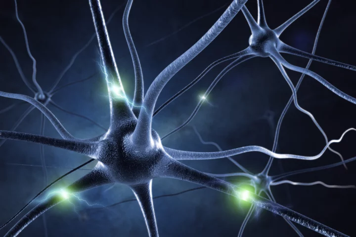 Researchers at the University of Texas are exploring the possibility of electrically stimulating the visual cortex of the brain to create simple images and shapes (Image: Shutterstock)