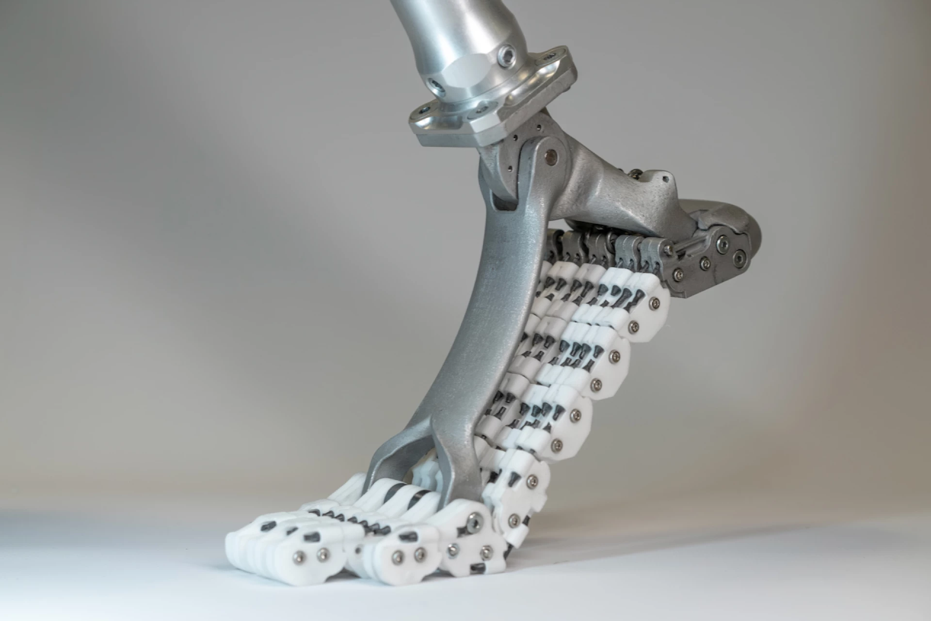 Better-performing prosthetic foot replicates the bones of the real thing