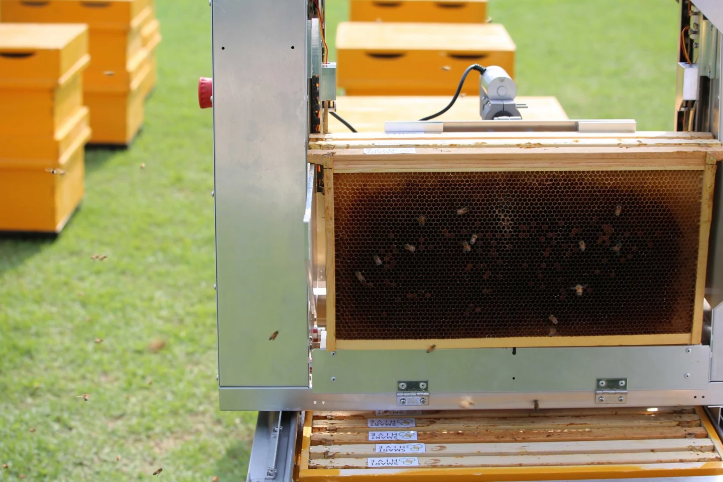 Up to 10 honeycombs can be held at once