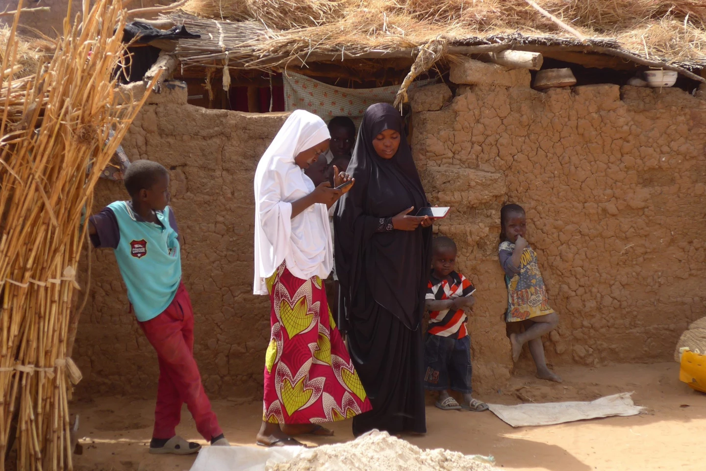 Hiveonline creates mobile phone-based solutions for rural African communities to create savings groups and cooperatives, facilitate access to financial services, agricultural inputs, and market buyers. Hiveonline helps otherwise disenfranchised groups improve their farming and saving practices and aid micro-entrepreneurs.