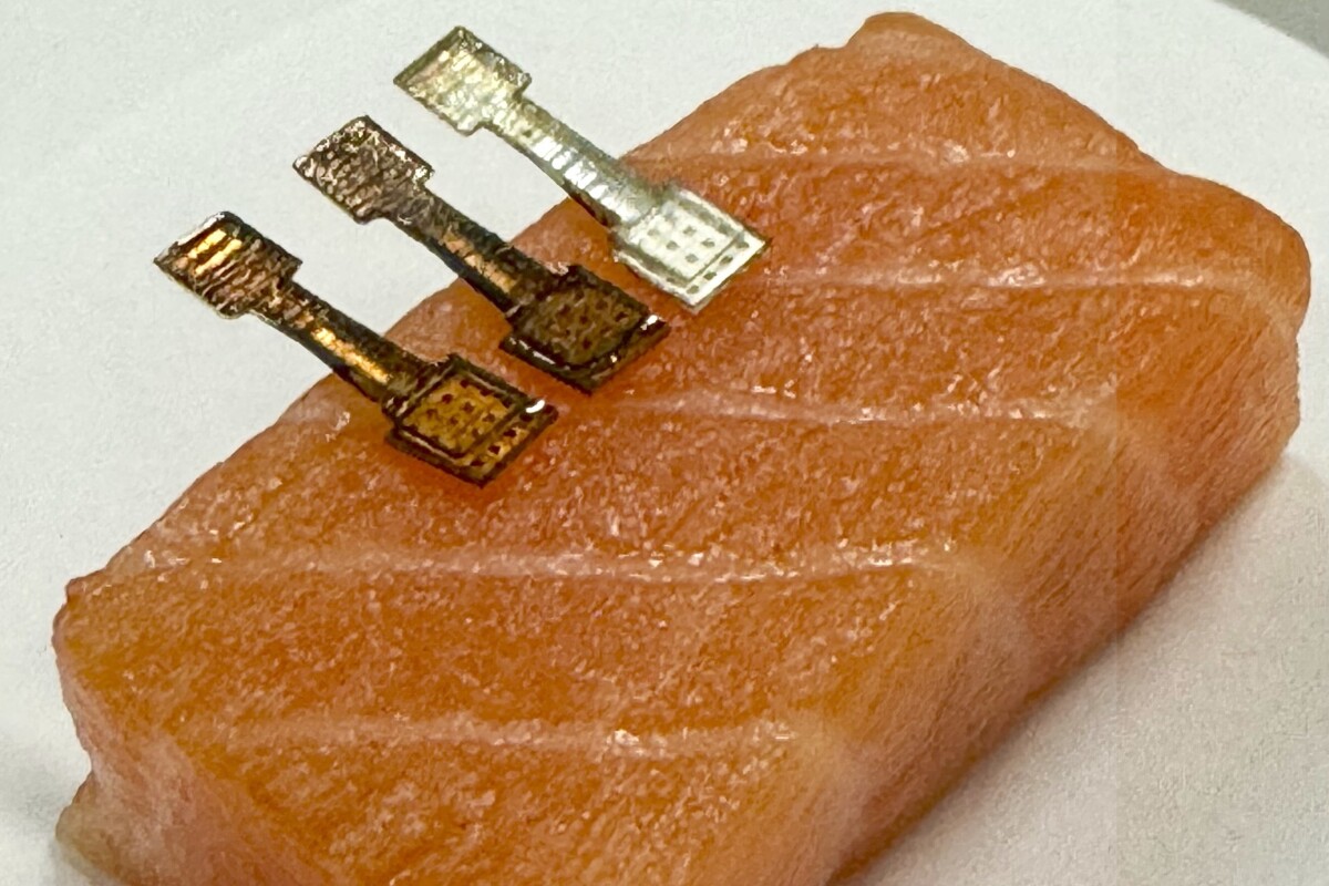 Fresh or fishy: Microneedle device spots sketchy seafood in real time